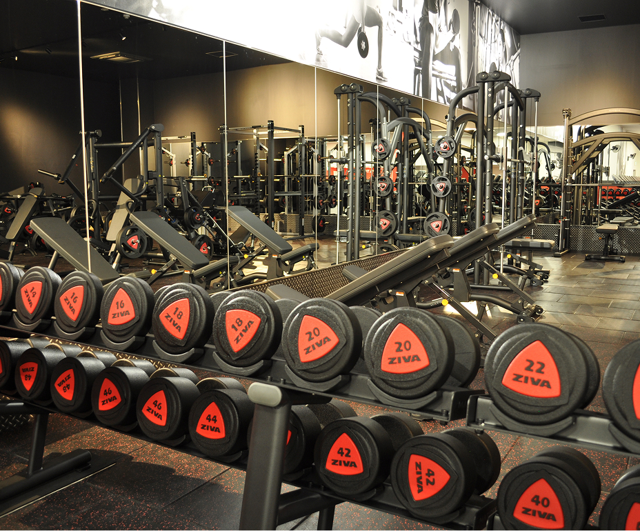 ダンベルとマシンが並ぶフリーウェイトエリア